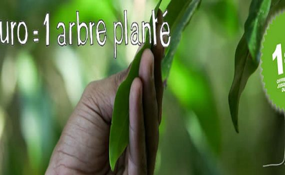 L’association franco-sénégalaise « Arbre de vie » a détourné 700.000€