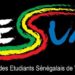 Association Des Etudiants Sénégalais du Valenciennois