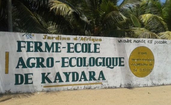 Pannecé (44) : L’association POUR se mobilise pour Fimela au Sénégal