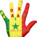 Bok Xalat : Association des étudiants sénégalais de Paris 8
