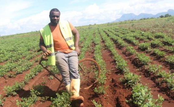 Des routes de l’exil aux champs de fraises, itinéraire d’un Camerounais entêté