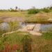 Des digues restaurées pour l’eau au village de Yayème