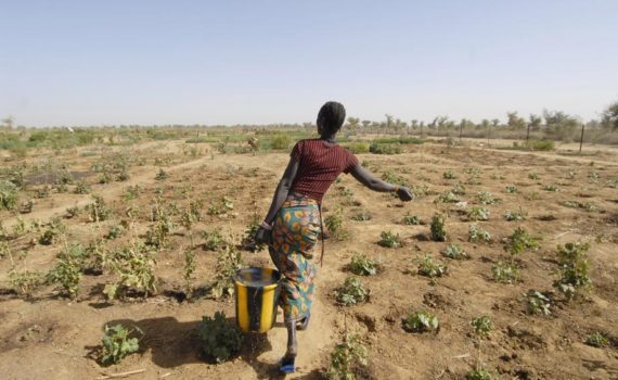 500 millions d’Africains sous la menace de l’insécurité alimentaire