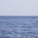 Plus de 50 disparus dans le naufrage d’un bateau parti de Libye