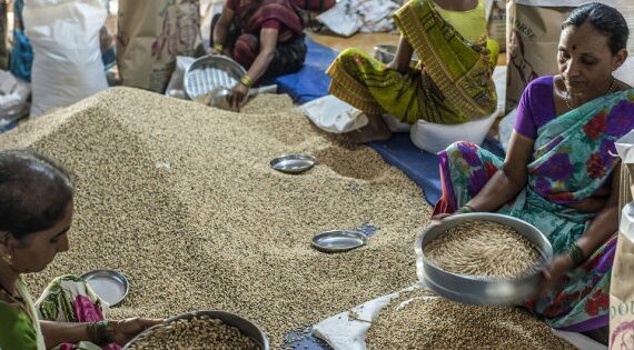 44 pays dont le Sénégal ont besoin d’une aide extérieure pour couvrir leurs besoins alimentaires