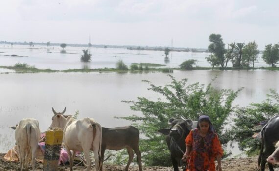 Les crises liées à la guerre, la météo ou la pandémie font basculer des millions de personnes dans la faim et la pauvreté